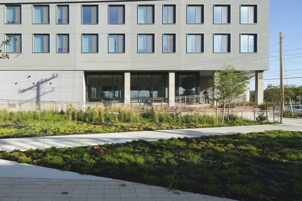 Beach Green Dunes III