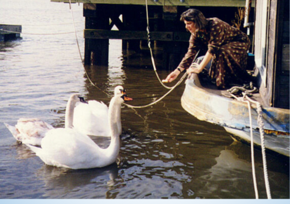 River: A Hudson Memoir - Book Launch with Leslie Day