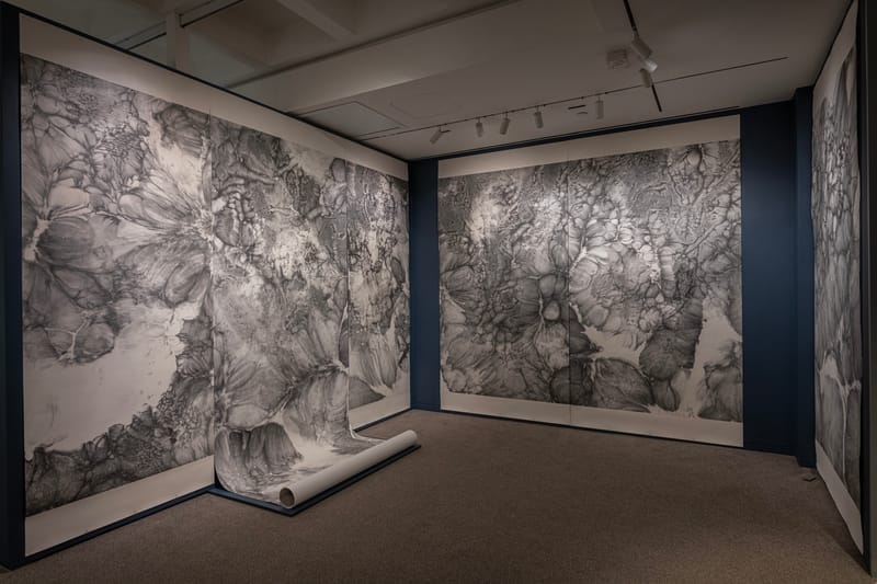 🎉 50% Off Membership + Free Tours: Black Friday 2025