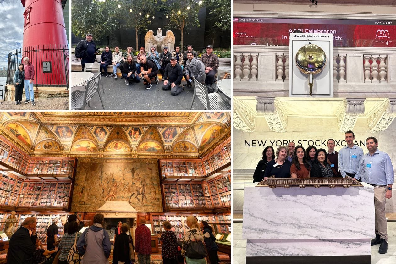 🎉 50% Off Membership + Free Tours: Black Friday 2025