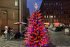 There's a Construction Cone Christmas Tree in Brooklyn