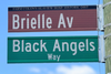 Brown street sign that says "Brielle Av" and a green street sign that says "Black Angels Way"