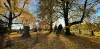 Fall Foliage Photo Walk at The Green-Wood Cemetery