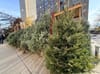 Christmas tree stand in New York City