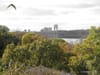 Find the Great Outdoors Without Leaving Manhattan: Fort Tryon Park & Inwood Park