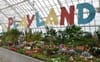 The Conservatory of Flowers Revives Playland