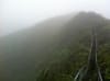 Surviving the Stairway to Heaven in Oahu, Hawaii