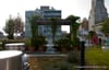 On Top of New York City’s Green Roofs with Greensulate