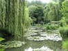 Japanese Gardens: Escape the City