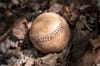 A Baseball Graveyard in Queens' Forgotten Railroad