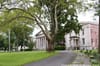 Urban Getaway: Snug Harbor Cultural Center on Staten Island