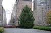This Day in NYC History December 17th: Gramercy Park Was Established in 1831
