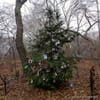 The Secret Christmas Tree in Central Park Dedicated to Pets