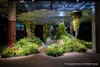 Tour the Lowline, Which Just Got NYC Approval, with a Docent on our Subway Tour