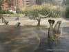 Daily What?! Seal Sprinklers Fill This NYC Park Along the FDR Drive and East River