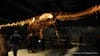 American Museum of Natural History Unveils 17 Foot Tall, 122 Foot Long Dinosaur