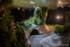 Get a Docent-Led Tour of the Lowline Lab on Upcoming NYC Subway Tour