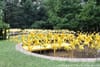 A Pinwheel Rose Garden Blooms, as Prospect Park’s “Connective Project” Opens in NYC