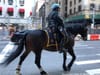 NYC Fun Facts: Why We Need Mounted “10-Foot Tall Officers” in NYC