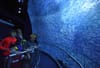 Take a Virtual Deep Sea Adventure With National Geographic Encounter: Ocean Odyssey, Opening Tomorrow in Times Square