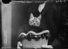 The Cat Men of Gotham is a New Book of Unbelievably True Feline Tales in Old NYC