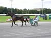 Join a Behind-the-Scenes Horse Racing Experience at Yonkers Raceway