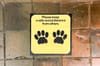 Dog Paw Print