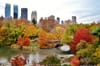10 Best Places to See Fall Foliage in Central Park