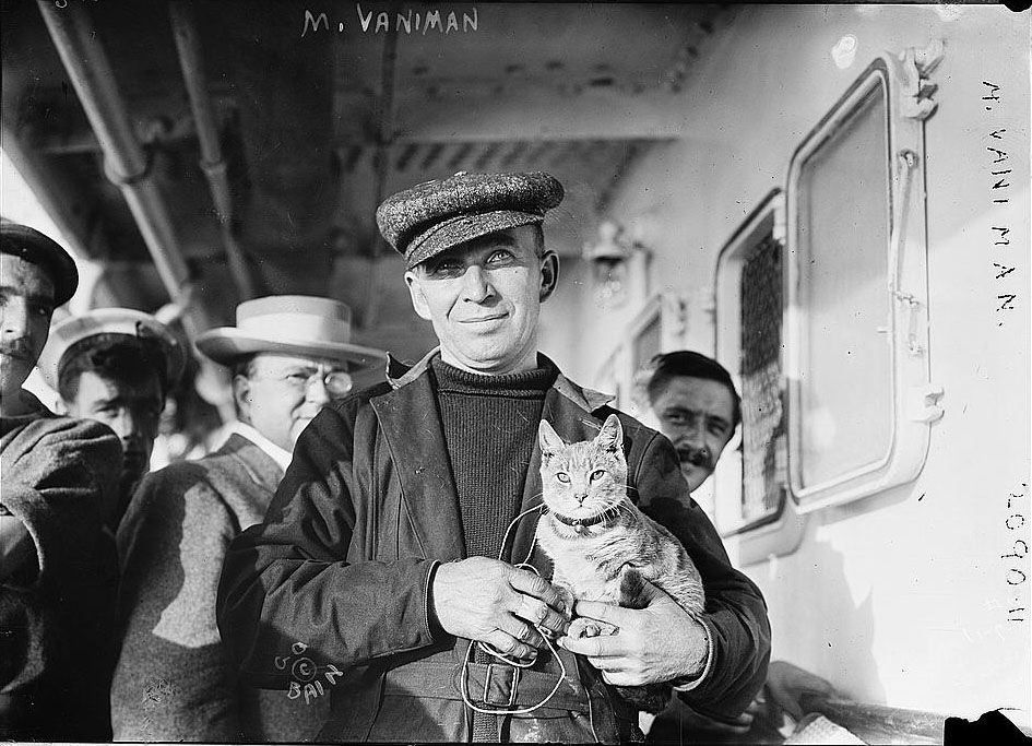 Join the Virtual Talk on the The Seafaring Cats of Gotham! Untapped